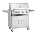 Grill with Cart